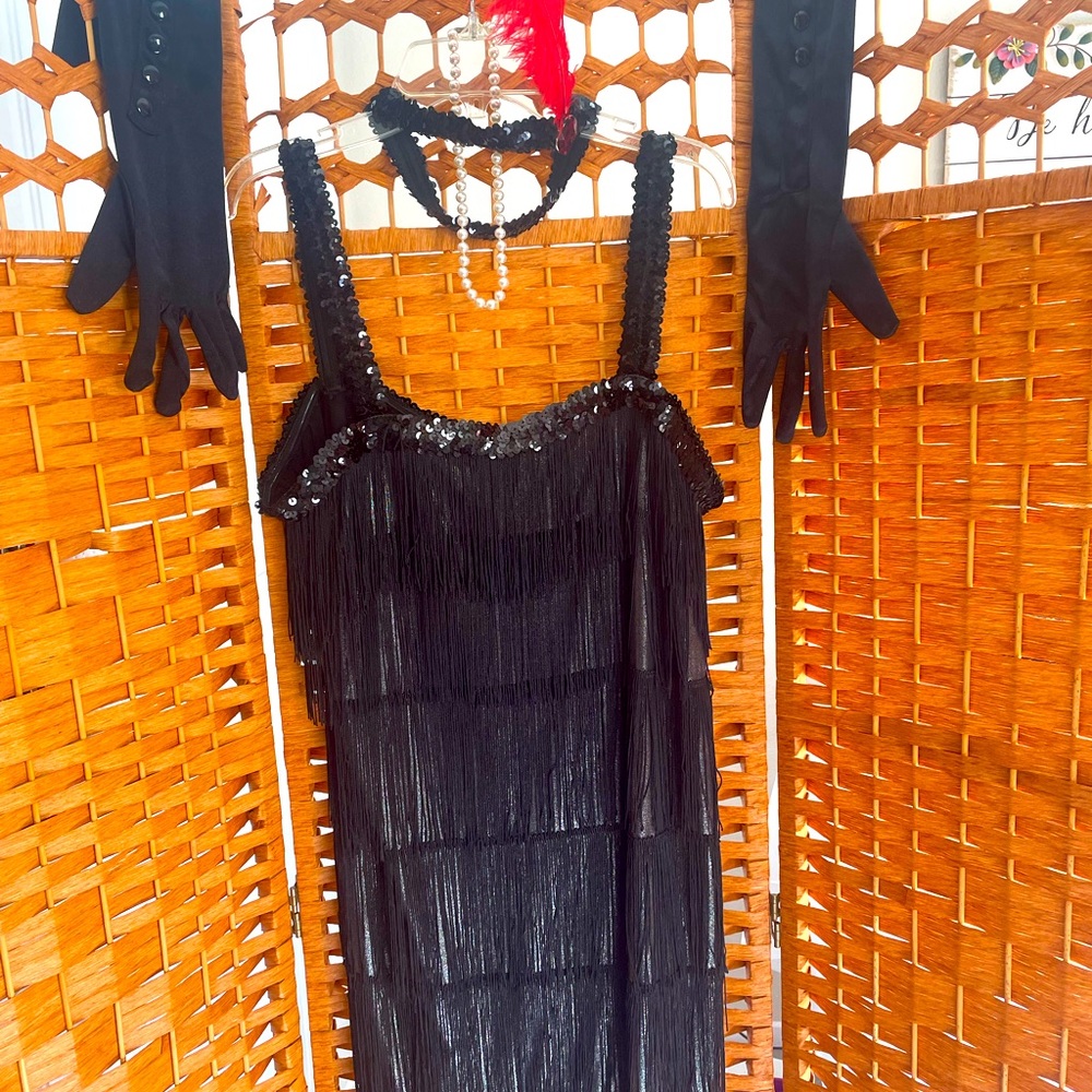 Flapper Tassels and Sequin little black dress.
